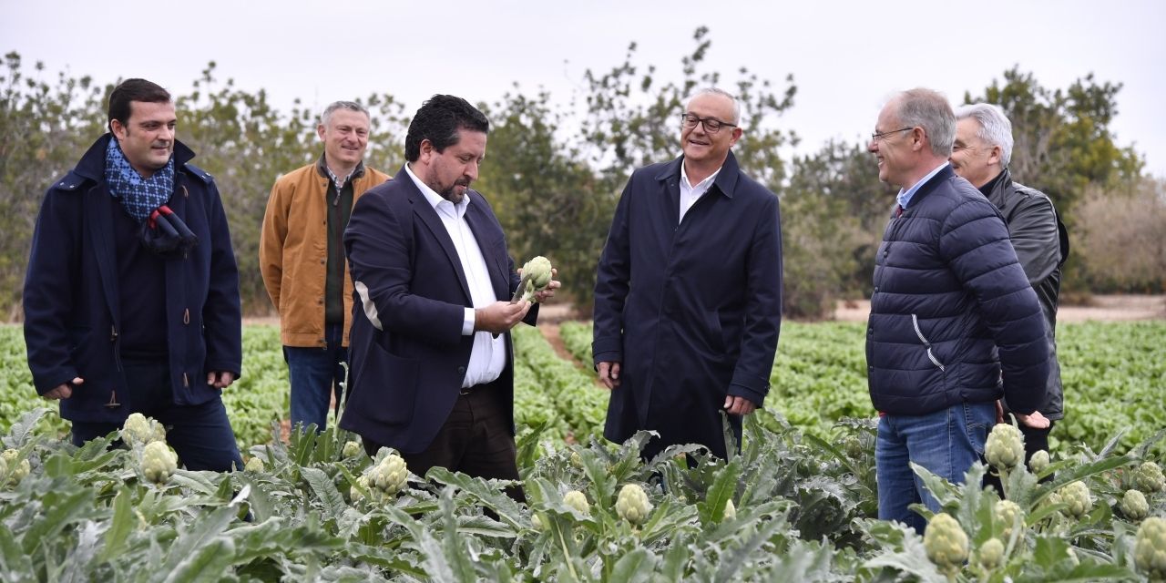  La Diputación fomenta la calidad de la alcachofa de Benicarló como producto emblemático de la provincia con Castelló Ruta de Sabor